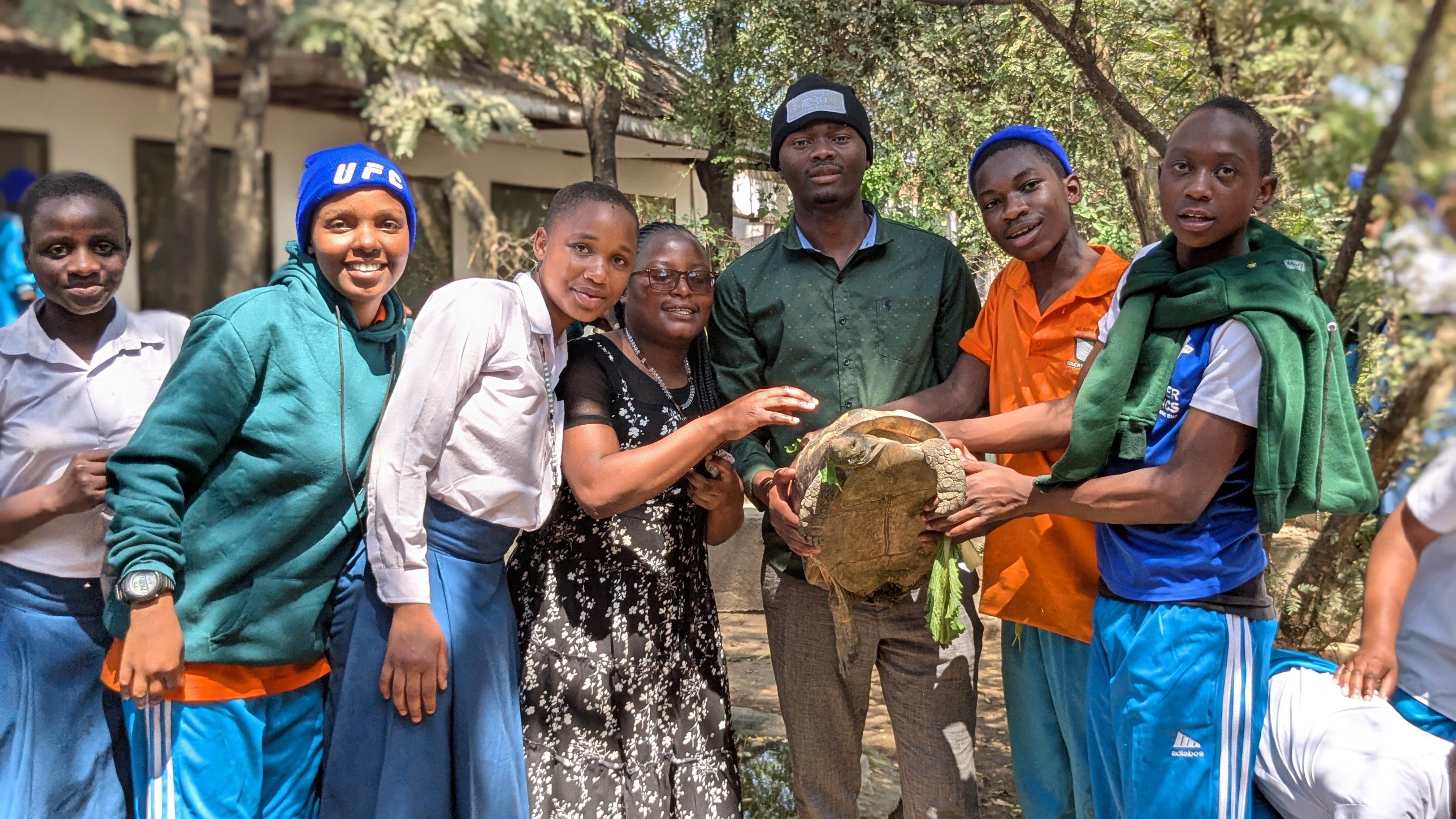 Students and teachers feeding turtles